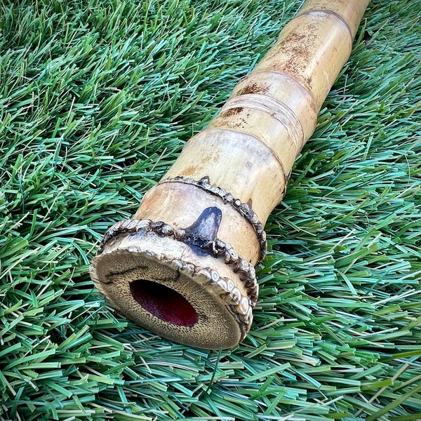 2.3 Jinashi Shakuhachi Flute