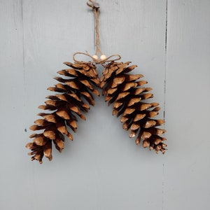 Giant Idaho Pinecones for Christmas - Christmas ornaments - Christmas decoration - Giant Christmas Decorations - Pinecones Giant
