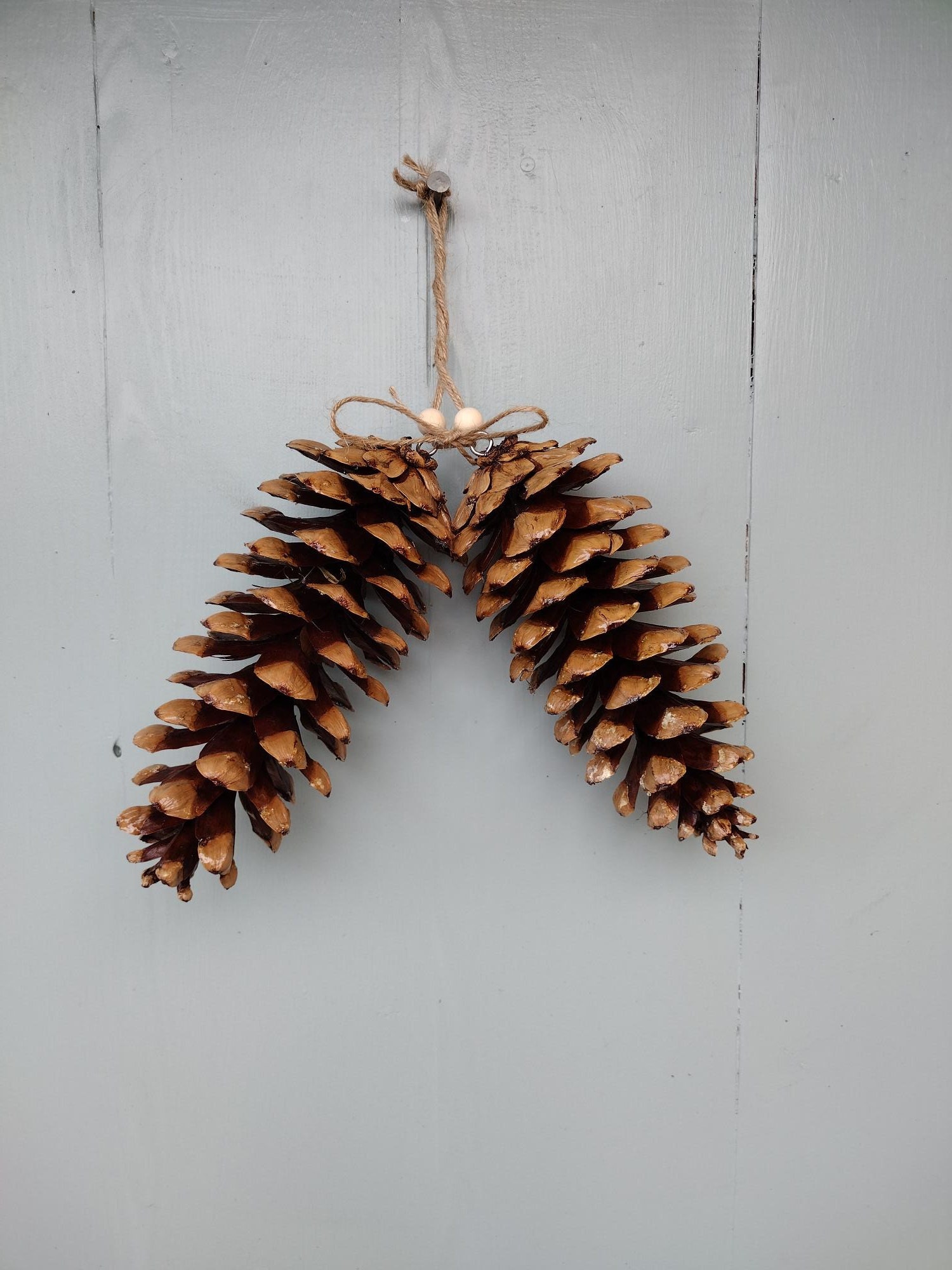 Axylex 20 pieces christmas pine cones decorations picks - snow