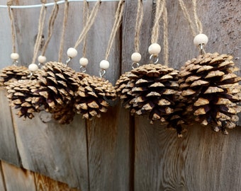 Christmas Pinecone Ornaments (12 included with each order) - Pinecone Christmas Ornaments - 1 dozen Pinecone Christmas Ornaments