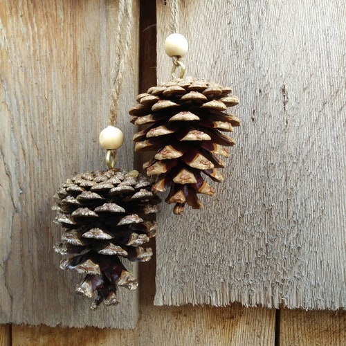 Christmas Pinecones (2-included) - Pinecones for Christmas - Christmas Ornaments - Christmas Pinecones - Pinecone Ornament - Pinecones