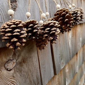 Christmas Pinecones (6-included) - Pinecones for Christmas - Christmas Ornaments - Christmas Pinecones - Pinecone Ornament - Pinecones