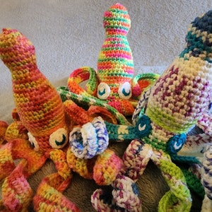 Sleepy Squid Buddies: Brights