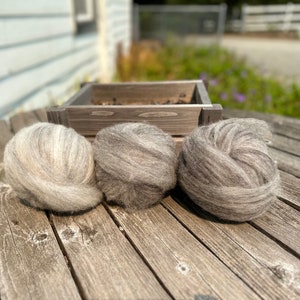 Jacob Roving (Shave &#39;em to Save &#39;em)