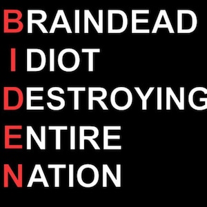 Biden Decal | Biden Bumper Sticker | Biden Vinyl Decal | FJB | Let's Go Brandon | Car Decal | Window Decal | Biden Car Decal