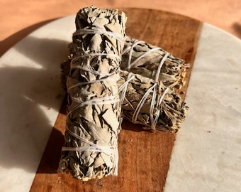 White Sage Smudge Sticks: Cleansing Bundle of 3