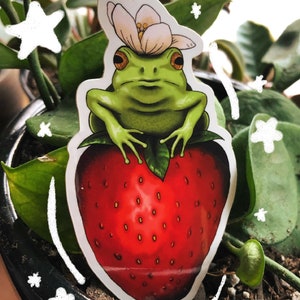 Strawberry Frog Sticker