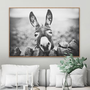 Curious Donkey, artwork on stretched canvas