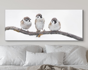 Three Sparrows Sitting on a branch Photography Print on Canvas Ready to Hang Framed - LARGE size Available
