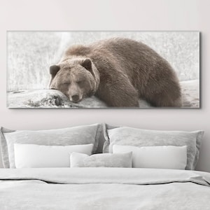 Brown Grizzly Bear Sleeping Peacefully On A Log Photography Print on Canvas - LARGE size Available