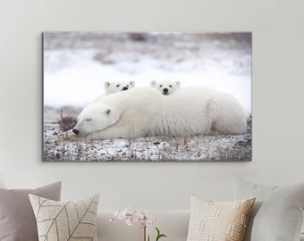 Ready to Hang Mother Polar Bear and Her Two Baby Bears Framed Print on Canvas Wall Art Free Shipping - Polar Bear Sleeping