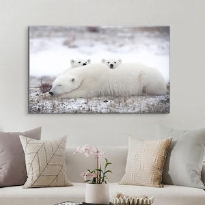 Ready to Hang Mother Polar Bear and Her Two Baby Bears Framed Print on Canvas Wall Art Free Shipping - Polar Bear Sleeping