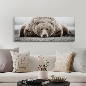 Brown Sleeping Bear Photography Print on Canvas - LARGE size Available