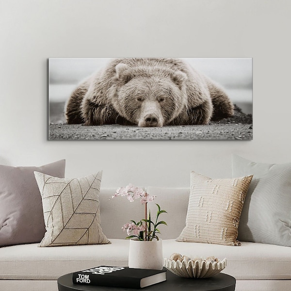 Brown Sleeping Bear Photography Print on Canvas - LARGE size Available