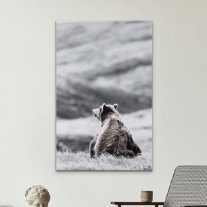 The Pondering Bear Photography Print on Canvas Ready to Hang Framed