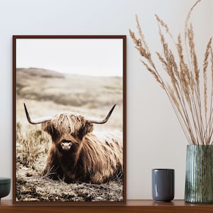 Ready To Hang In Large, Medium and Small Shaggy Highland Cow Print on Canvas Framed