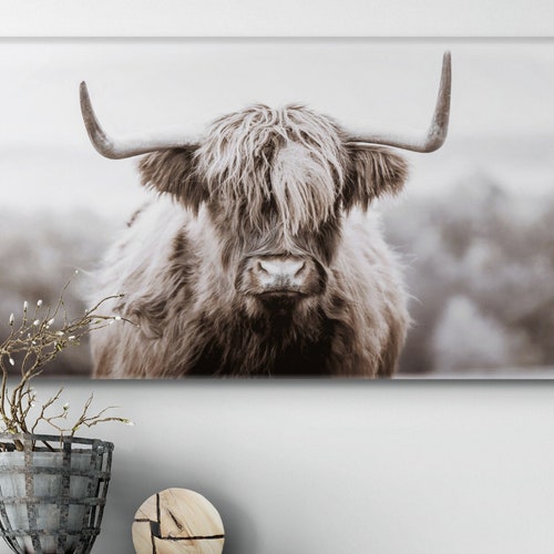 Ready to Hang Black and White Highland Cow Framed Print on Etsy