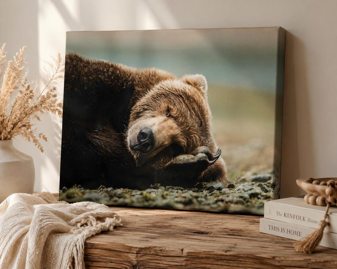 Sleeping Brown Bear Cub Canvas Print, Rustic Wall Art, Artwork on