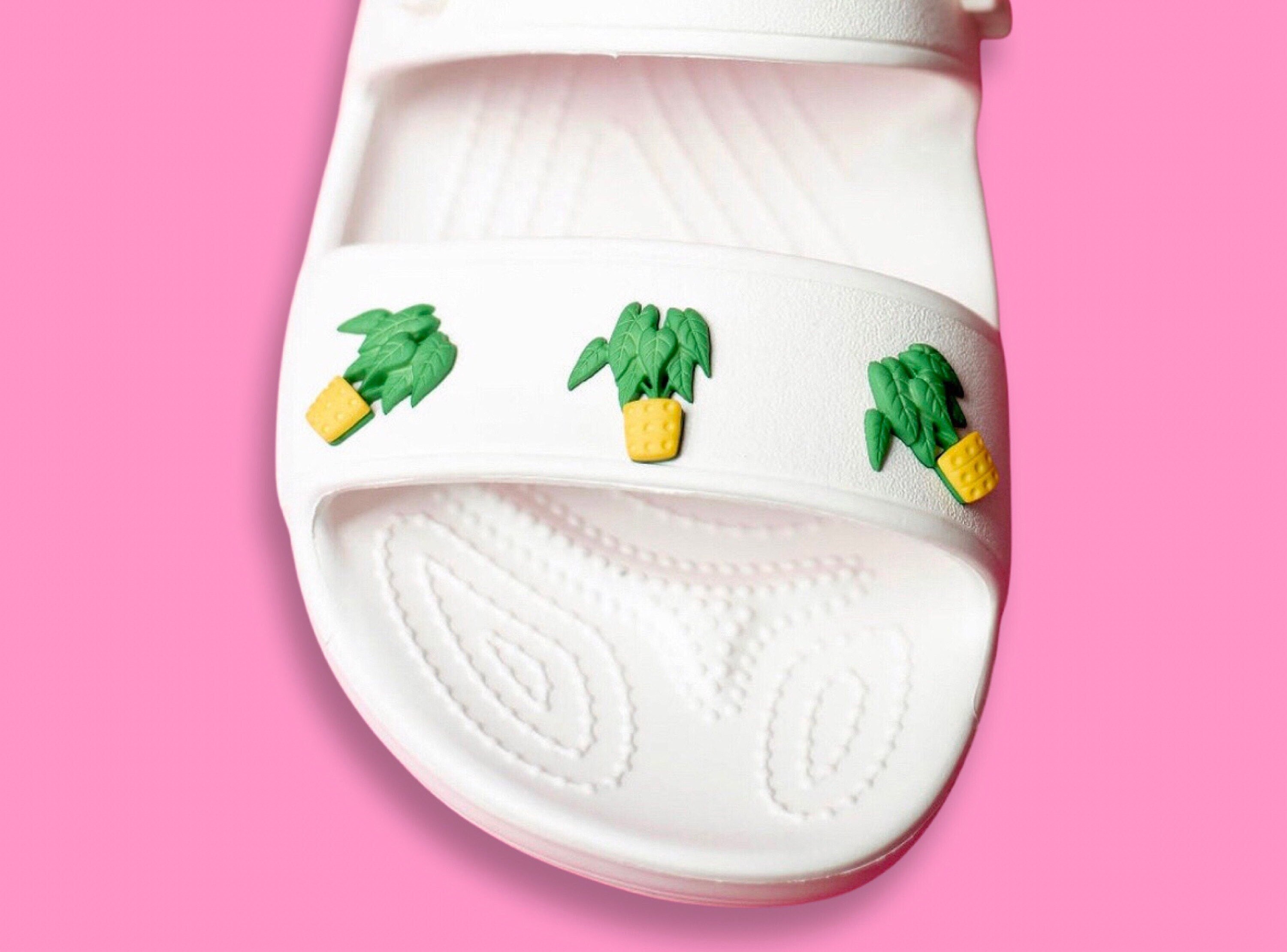 Monstera Plant Jibbitz™ charms - Crocs