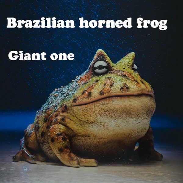 Giant Handmade Brazilian horned frog hollowed figure model toy Frog lover must have