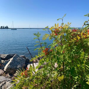 Sailboats on Lake Superior, Grand Marais, MN