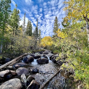 River Running Through Rocky Mountain National Park, Colorado