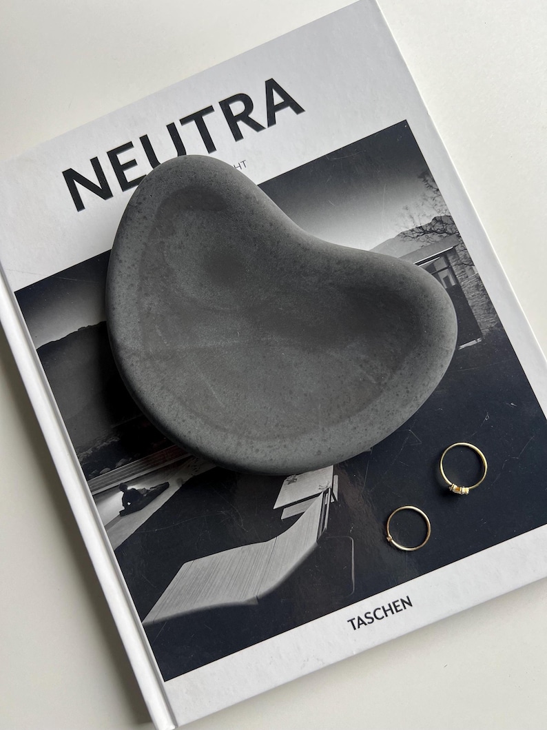 K&ouml;nnte beinhalten: Eine dunkelgraue, organisch geformte Schale liegt auf einem schwarz-wei&szlig;en Buch mit dem Titel "NEUTRA". Zwei goldene Ringe sind in der N&auml;he der Schale platziert. Das Buchcover zeigt ein Foto eines Geb&auml;udes.