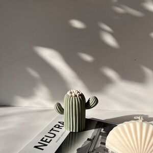 May include: A green ceramic cactus shaped matchstick holder with white cotton buds inside. The holder is sitting on a book titled "NEUTRA" by Barbara Lamprecht. A white shell shaped candle is in the background.