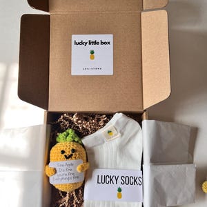 IVF socks, Lucky Pineapple socks, Fertility gift, IVF gifts, Infertility gift, Transfer day IVF gift, Transfer day socks, ivf pineapple