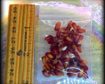 Dried Pomegranate Seeds for Rituals Spells
