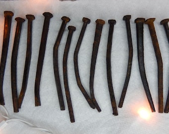 Rusty Iron Nails from 1887