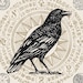 Właściciel(ka) sklepu <a href='https://www.etsy.com/pl/shop/EventideMagick?ref=l2-about-shopname&from_page=listing' class='wt-text-link'>EventideMagick</a>