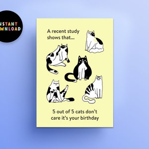 May include: A yellow card with a black and white illustration of five cats. The text reads "A recent study shows that... 5 out of 5 cats don't care it's your birthday."