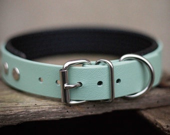 Biothane dog collar 2.5 cm wide with padding | adjustable vegan collar