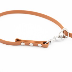 May include: A brown leather dog leash with a silver clip and three silver rivets.