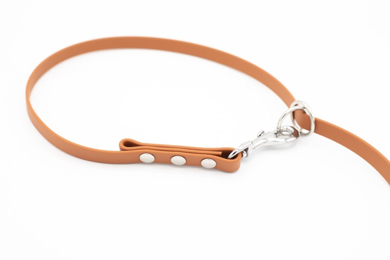 May include: A brown leather dog leash with a silver clip and three silver rivets.