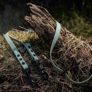 May include: Two green dog leashes with black metal clasps and black dots on the leashes. The leashes are lying on a log covered in moss.
