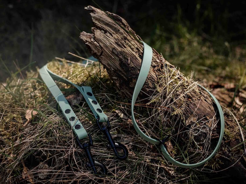 May include: Two green dog leashes with black metal clasps and black dots on the leashes. The leashes are lying on a log covered in moss.