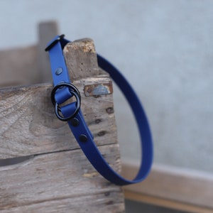 Pull stop collar dog 1.9 cm wide waterproof dog collar with pull stop