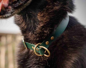 Marring collar made of Biothane, 2.5 cm wide