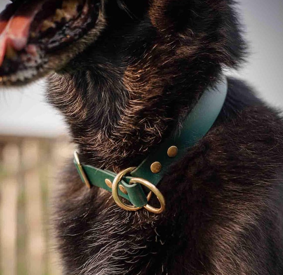 wolters hundespielzeug Wolters Hundespielzeug Olivi Tau-Knochen kaufen