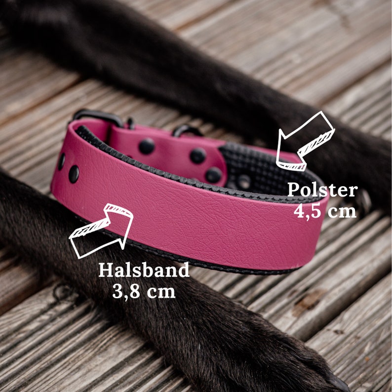 Pode incluir: Um colar de c&atilde;o de couro rosa com costuras pretas e uma fivela preta. O colar tem 3,8 cm de largura e um acolchoado de 4,5 cm de largura. O texto "Halsband 3,8 cm" e "Polster 4,5 cm" est&aacute; escrito na imagem.