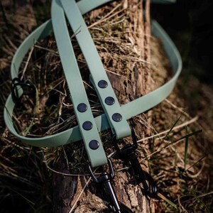May include: Two green leather dog leashes with black metal clasps and black metal rivets. The leashes are lying on a tree trunk.