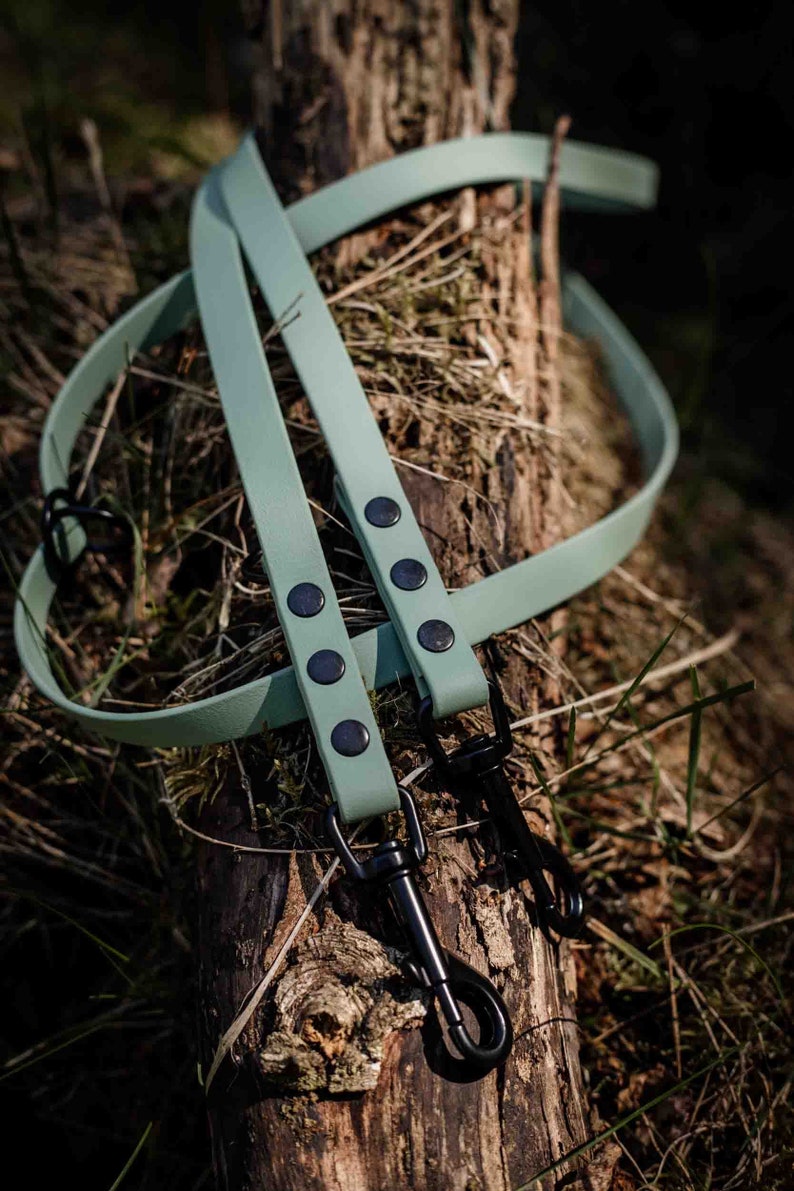 May include: Two green leather dog leashes with black metal clasps and black metal rivets. The leashes are lying on a tree trunk.