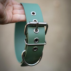 Pode incluir: Uma coleira de c&atilde;o de couro verde com uma fivela e um anel D prateados.