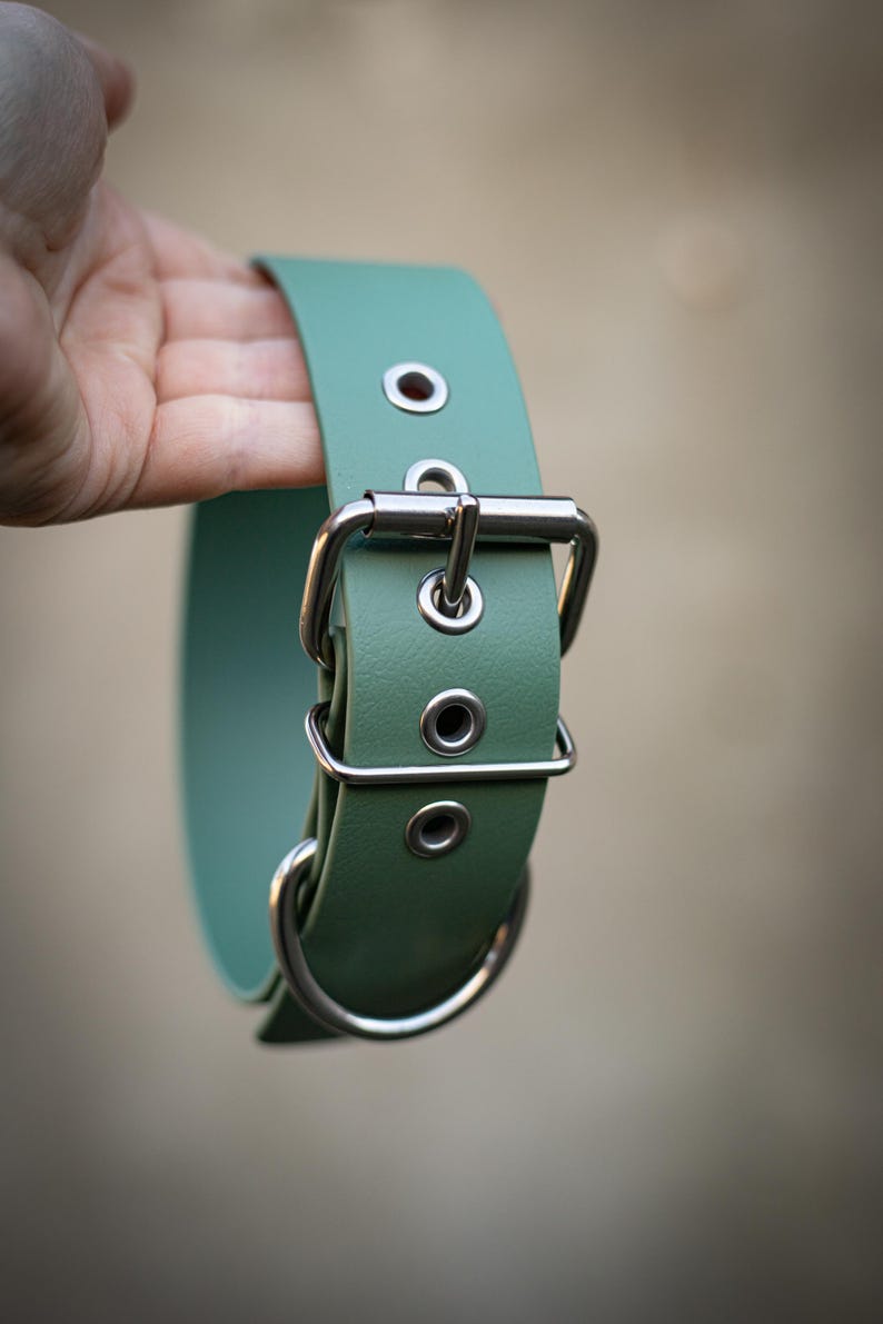 Pode incluir: Uma coleira de c&atilde;o de couro verde com uma fivela e um anel D prateados.