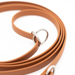 May include: A brown leather dog leash with silver metal hardware. The leash is folded in half and the metal hardware is visible.