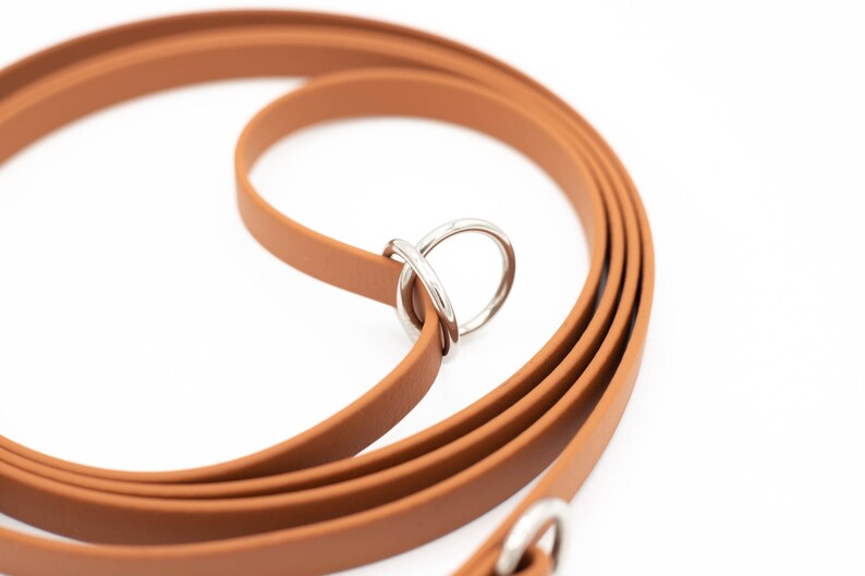 May include: A brown leather dog leash with silver metal hardware. The leash is folded in half and the metal hardware is visible.