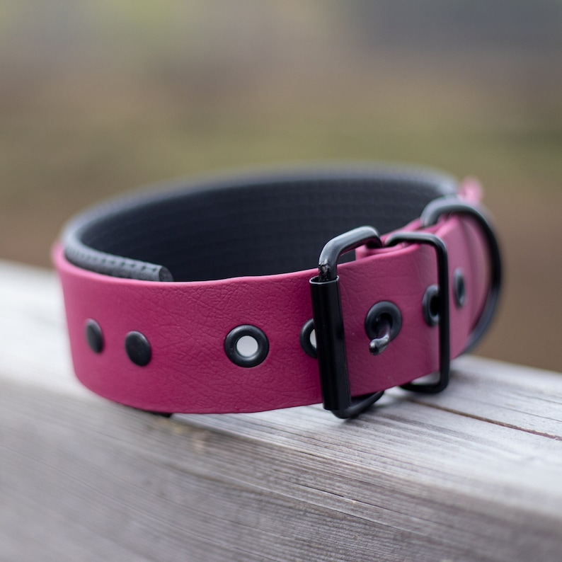 Pode incluir: Uma coleira de cachorro de couro rosa com uma fivela preta e ilh&oacute;s de metal.