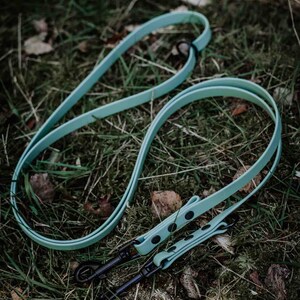 May include: A light blue dog leash with black accents and two metal clips. The leash is lying on a bed of green grass.